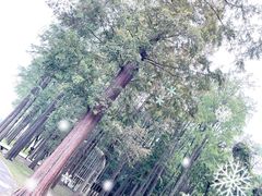 -上海月湖雕塑公园