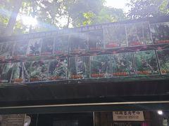 -西双版纳原始森林公园