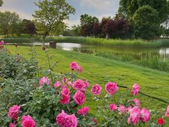 -安德鲁户外烧烤帐篷营地(马泉营店)