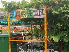 -麻涌飞鸭开心农场