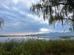 -野鸭湖国家湿地公园