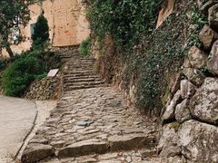 -杨家堂村