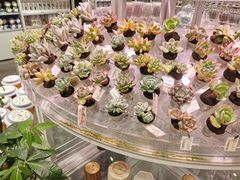 -KKV(深圳kk one 店)