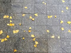 -深业半汤御泉庄温泉