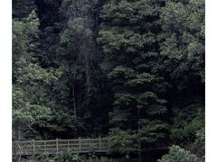 -广州市流溪河国家森林公园