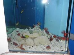 -蓬莱欧乐堡海洋极地世界