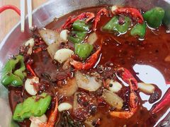 -杨氏青龙虾·羊蝎子(托乐嘉店)