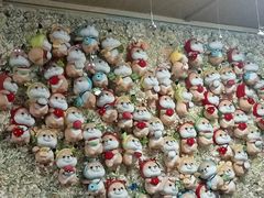 -柴犬高等学院·狗咖·柴犬售卖·宠物训练