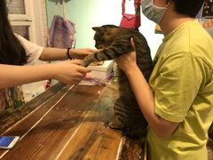 -恋物百货商店(华侨城店)