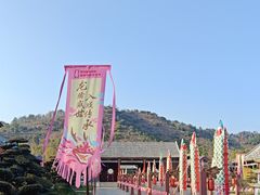 -横店圆明新园