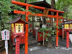 -野宫神社