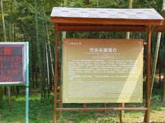 -陶祖圣境风景区