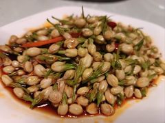 横县茉莉花-壮乡楼民俗文化苑(李宁体育园店)