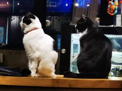 -么么咖啡(燕郊店)