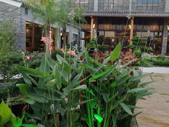 -顺德了能馆(虎门店)