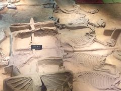 -洛阳周王城天子驾六博物馆