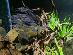 -太平洋海底世界