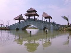 -海南热带野生动植物园