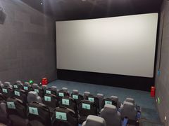 -SFC上影影城(新世界店)