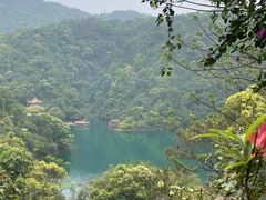 -鼎湖山风景区