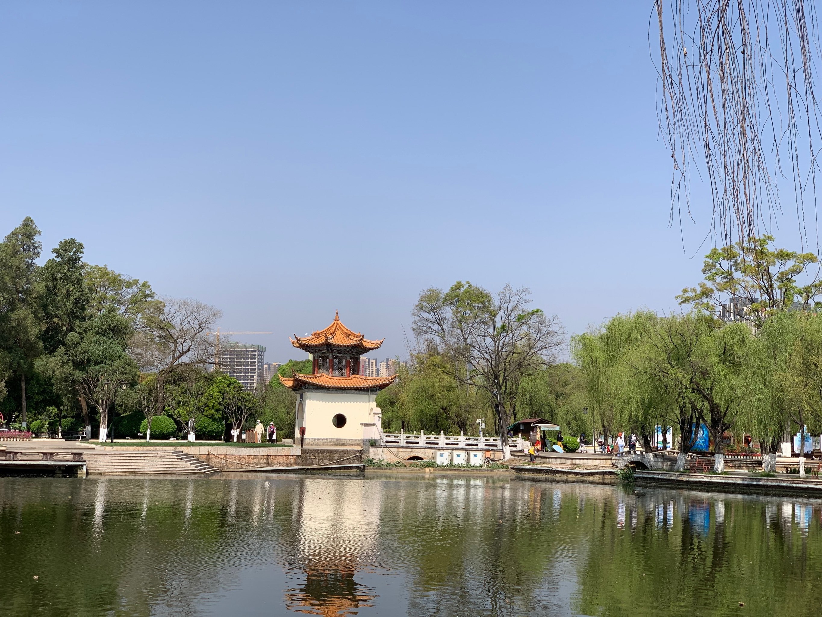我逛过的那些公园