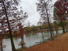 -上海长兴岛郊野公园