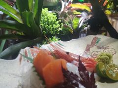 -森味薪火烧•烧鸟居酒屋•日本料理(望京店)