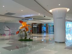 -棕榈MALL