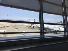 -中部国际机场