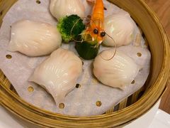 和苑招牌虾饺-和苑·精致粤菜(珠江新城店)