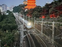 -黄鹤楼公园(黄鹤楼)