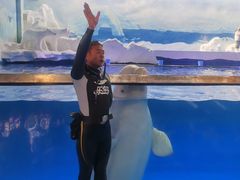 -秦皇岛乐岛海洋王国