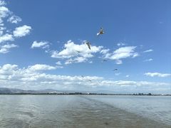 -敕勒川草原文化旅游区