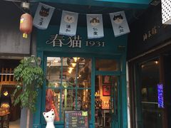 -猫咪博物馆(顶澳仔猫街店)