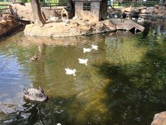 -北京世界公园