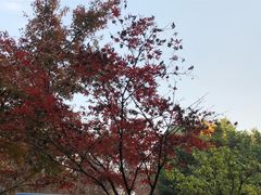 -四川大学(望江校区)