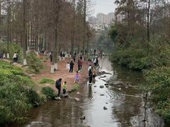 -重庆彩云湖湿地公园