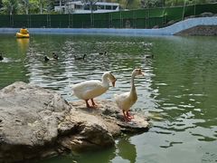 -团结湖公园