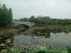 -尚贤河湿地