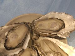 -千岛蚝高压锅生蚝·人参火锅(白云万达店)