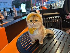 -龙湖重庆时代天街