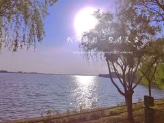 -漕湖湿地公园