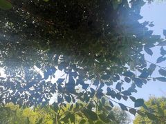 -金海湾滨江公园