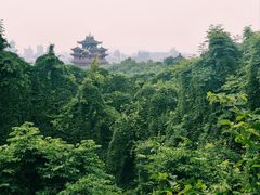 -吴山景区