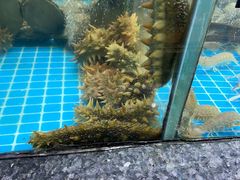 -渔码头食府(蓬莱阁店)