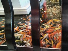 -龙悦湾酒家·八阵鱼生·渔人码头店