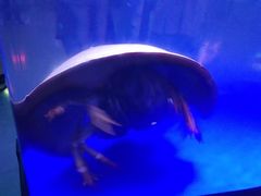 -欧亚达商业广场(红桥店)