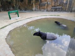 -杭州野生动物世界