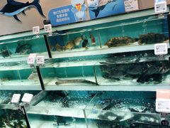 -盒马鲜生(顺义店)