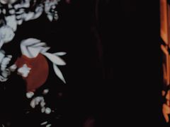 -MEDISN·药厂